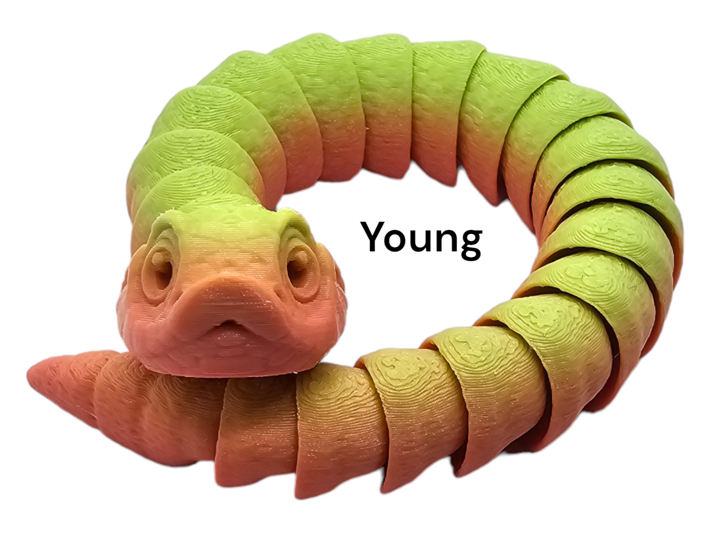 Hognose snake
