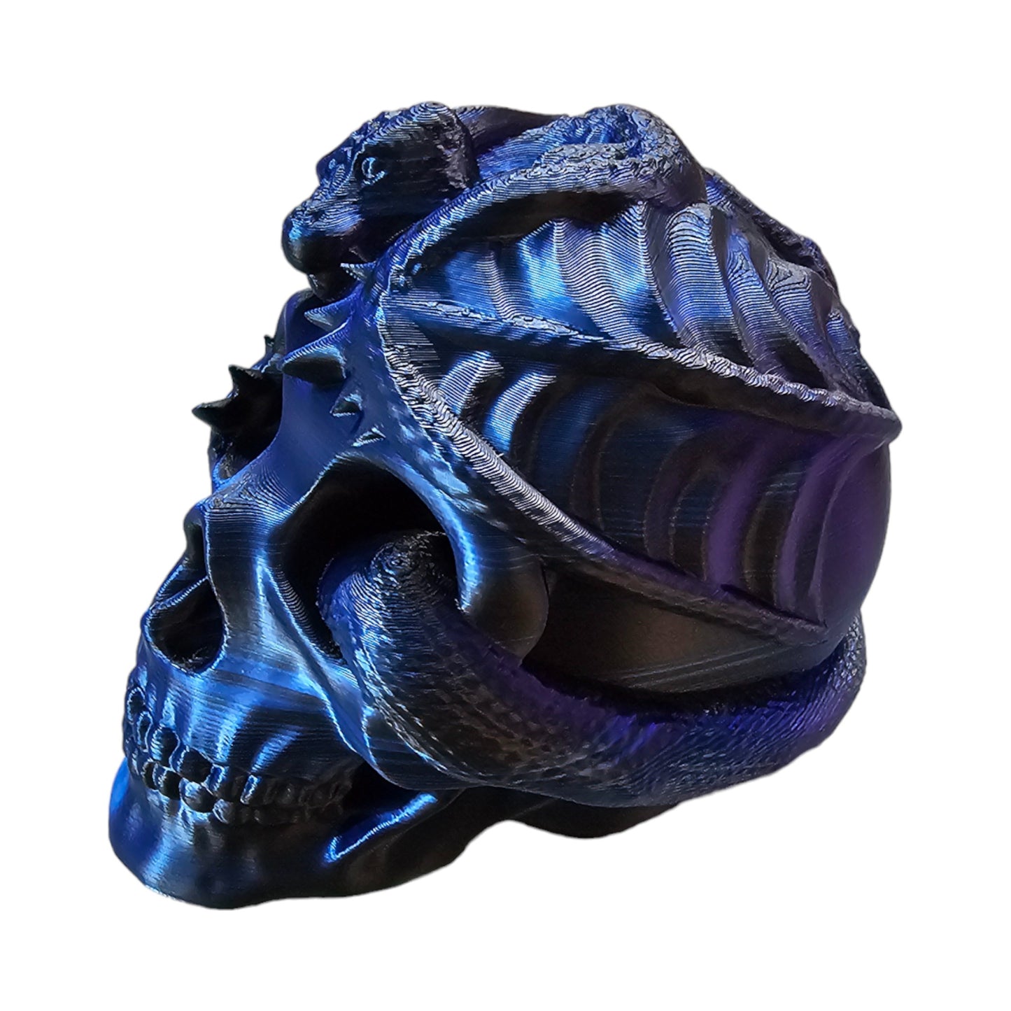 Dragon Skull. Home Decor, Fantasy, Dragons, Gothic, Dragon on a skull ornament, figurine, display peice.