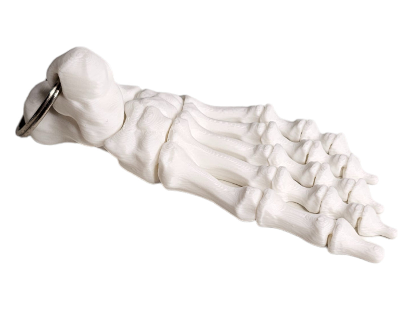Skeleton Foot