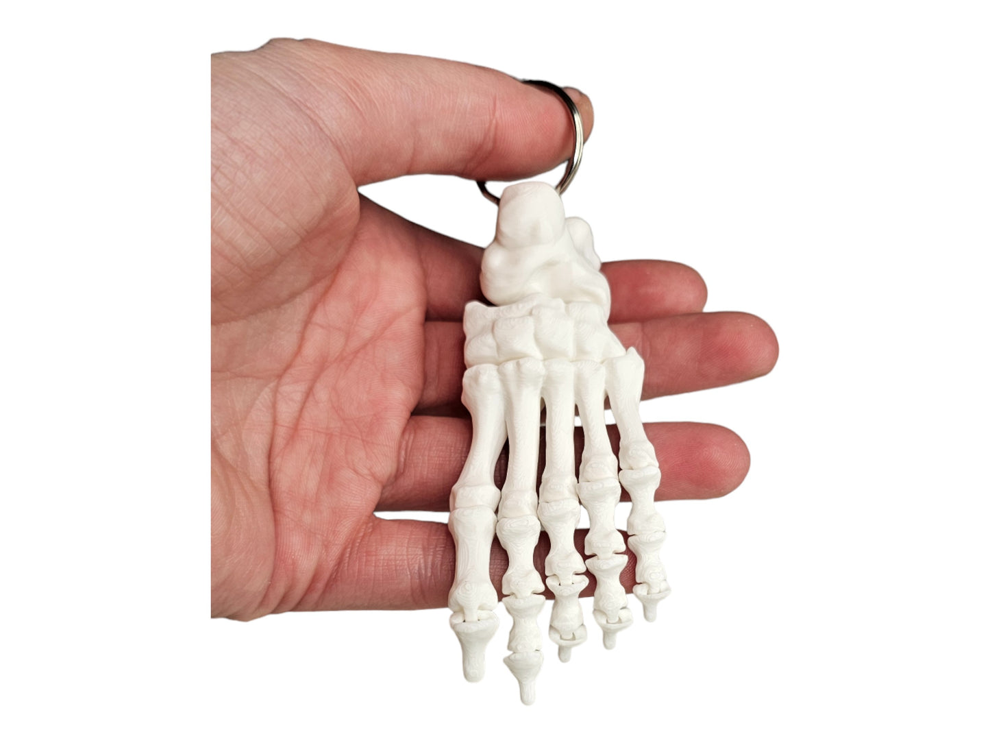 Skeleton Foot