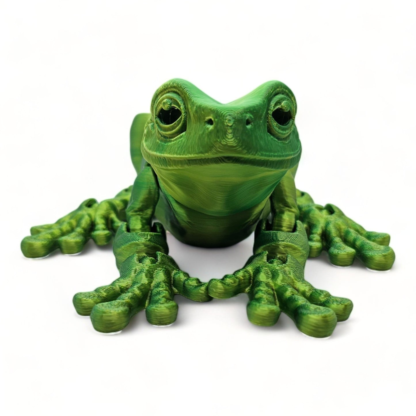 Whites tree frog