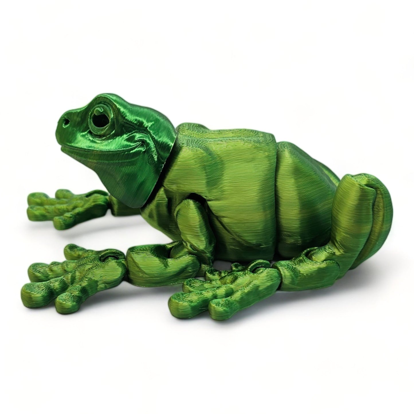 Whites tree frog