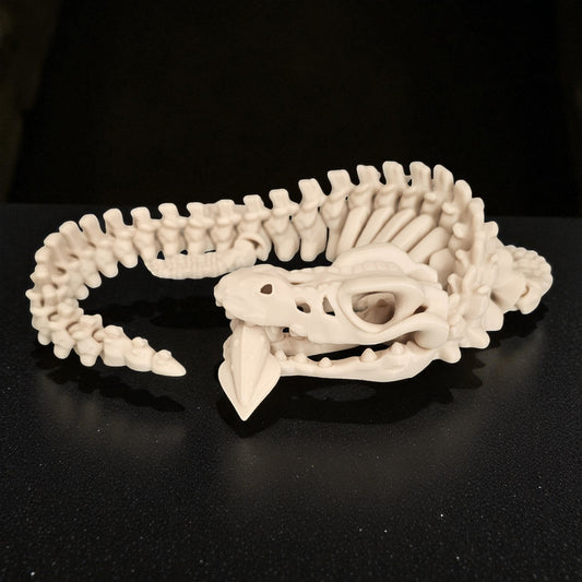 Skeleton Mosasaurus with Squid Snack