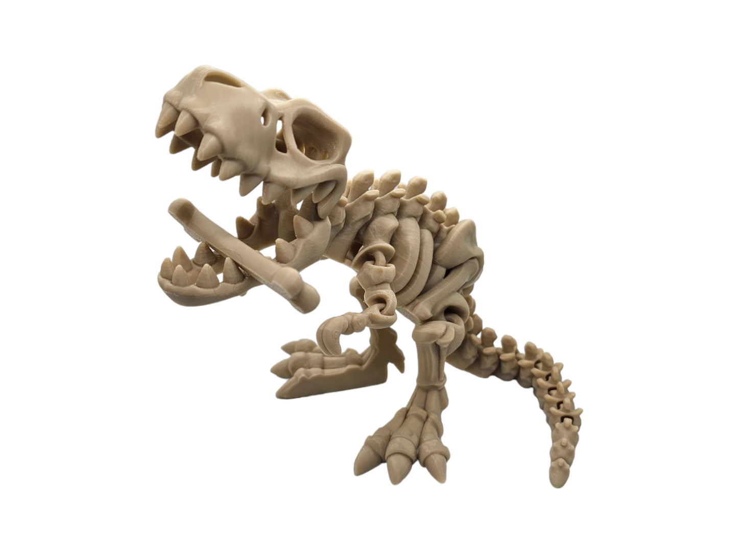 Flexi skeleton t-rex dinosaur