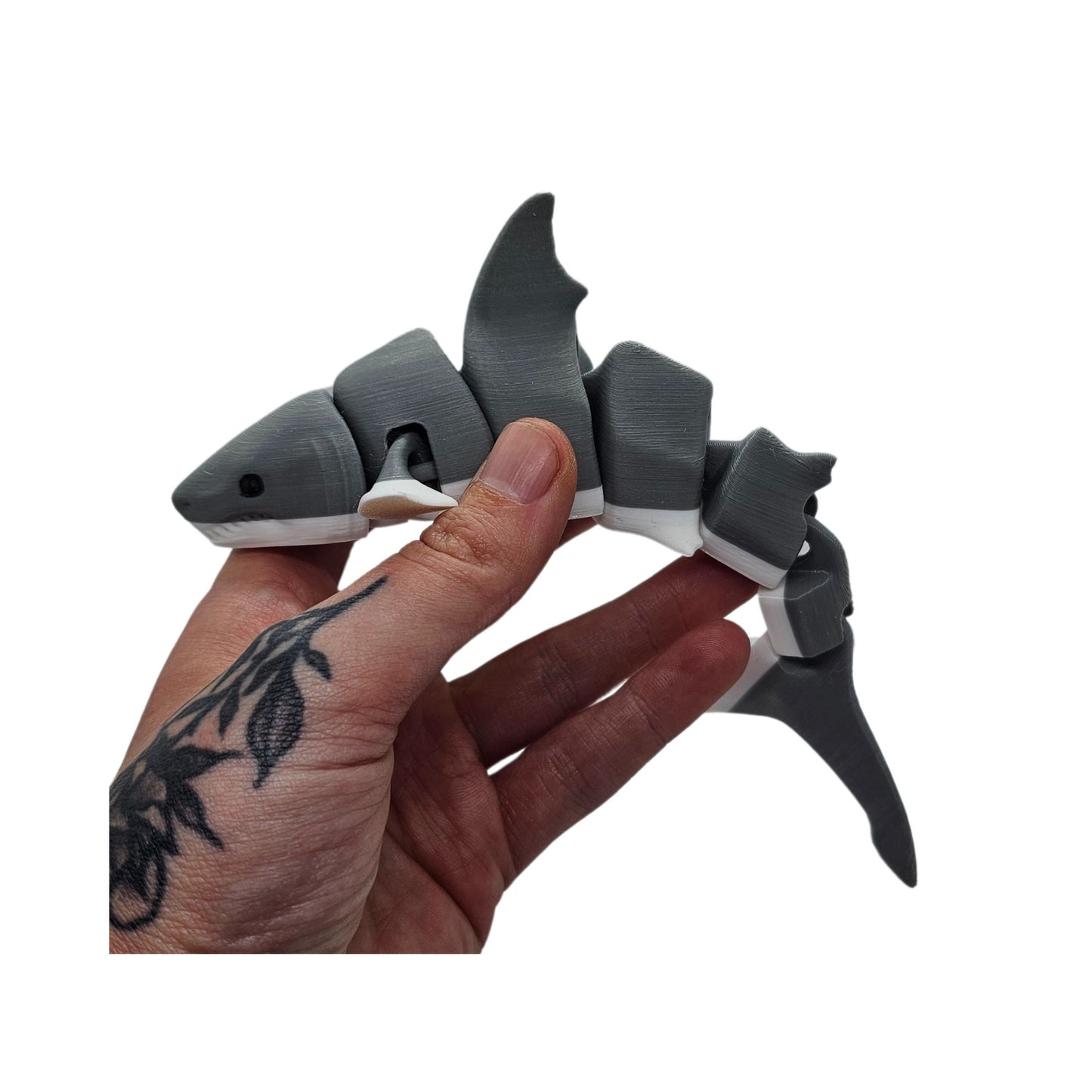 Great White shark