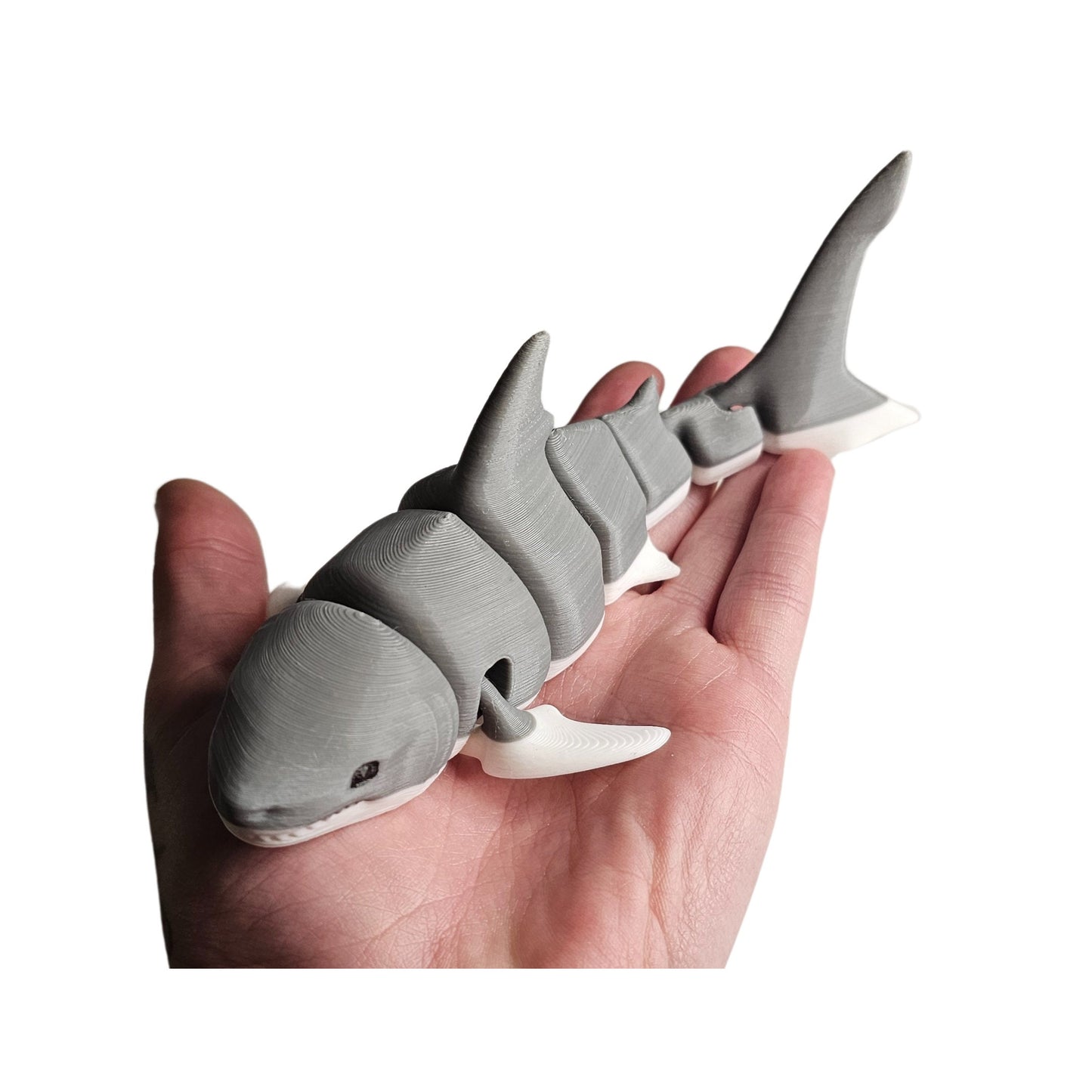 Great White shark